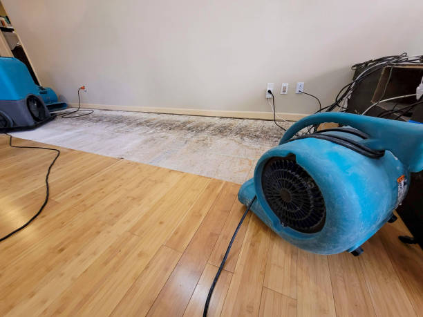 Professional Structural Drying technician working in Gold Beach, OR